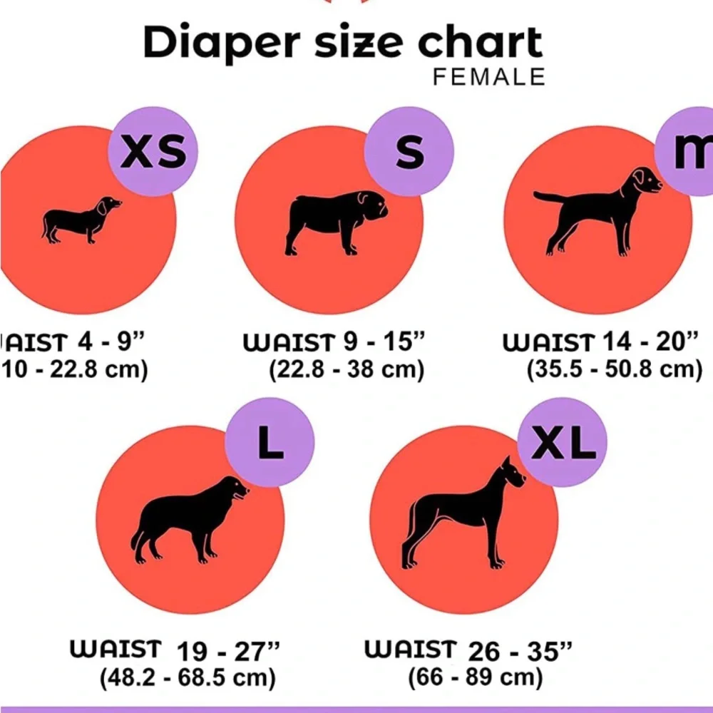 BIG DOGS NEEDS DIAPERS TOO